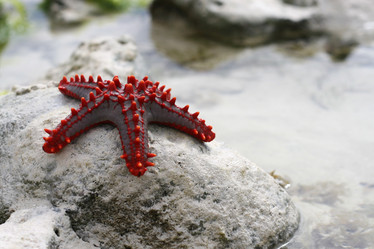 Similar image 1091187