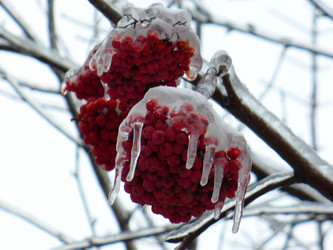 Similar image 1091205