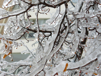 Similar image 1091216