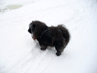 Similar image 1091217