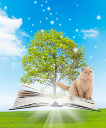 Similar image 1091339