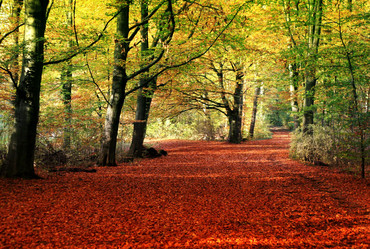 Similar image 1091416