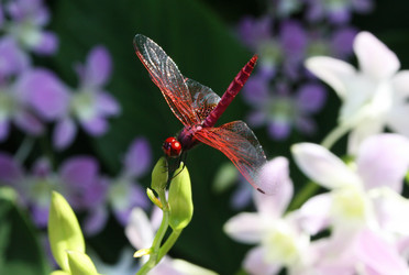 Similar image 1091442