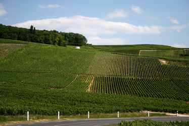 Similar image 1091459