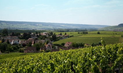 Similar image 1091462