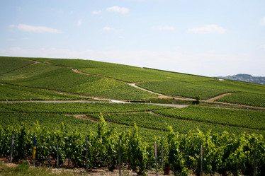 Similar image 1091461