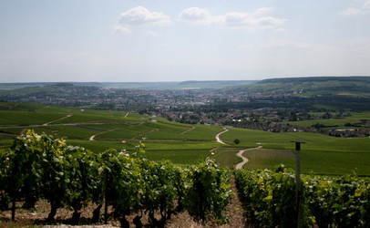 Similar image 1091460