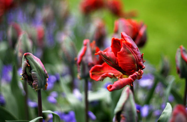 Similar image 1091581