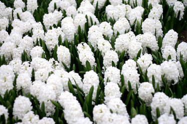 Similar image 1091578