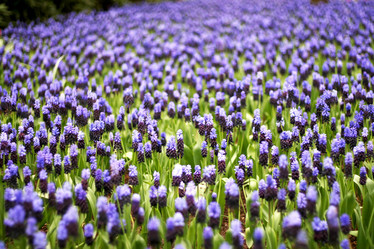 Similar image 1091582