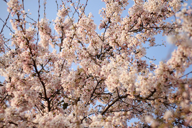 Similar image 1091583