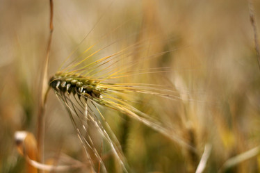 Similar image 1091579