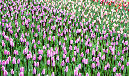 Similar image 1091580