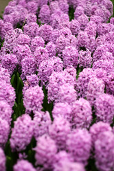 Similar image 1091590