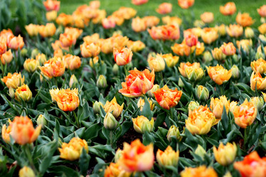 Similar image 1091588