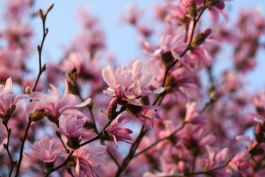 Similar image 1091585