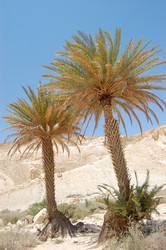 Similar image 1091645