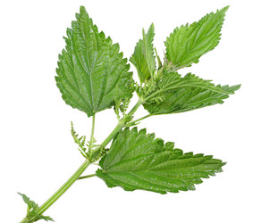 Similar image 1091670