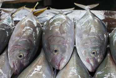 Similar image 1091682