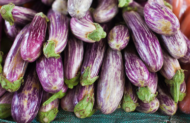 Similar image 1091684