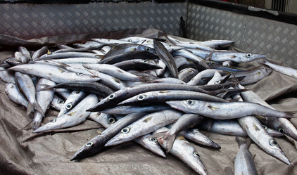 Similar image 1091704