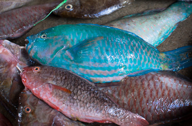 Similar image 1091736