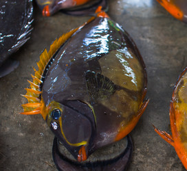 Similar image 1091741