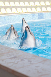 Similar image 1091795