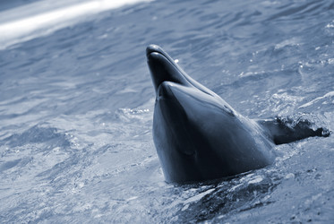 Similar image 1091798