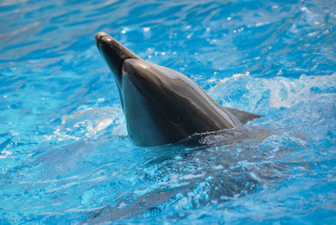 Similar image 1091799