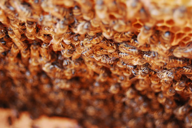 Similar image 1092136