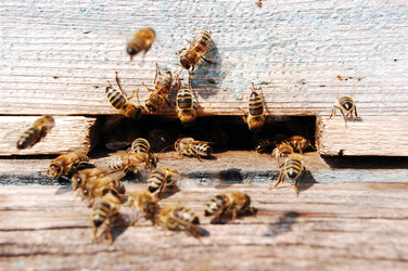 Similar image 1092137