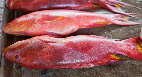 Similar image 1092139