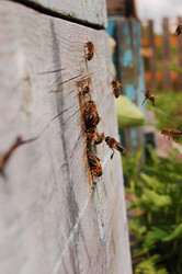 Similar image 1092161