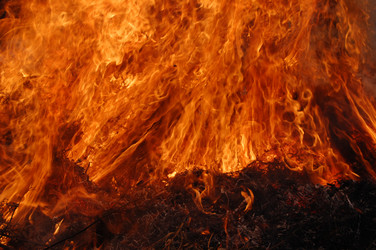 Similar image 1092168