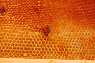 Similar image 1092166