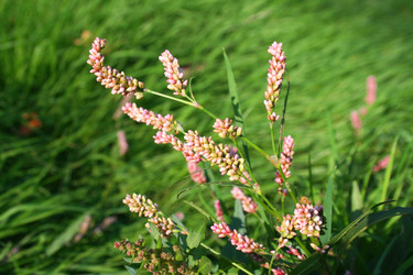 Similar image 1092242