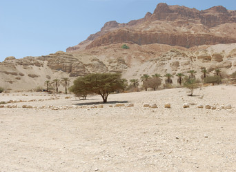 Similar image 1092244