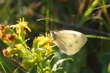 Similar image 1092246