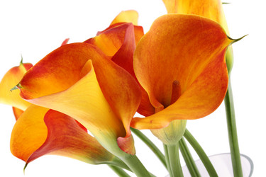 Similar image 1092297