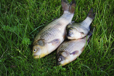 Similar image 1092315