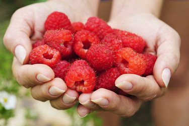 Similar image 1092316