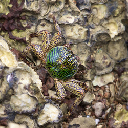 Similar image 1092449