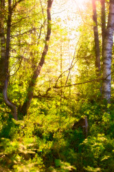 Similar image 1092467