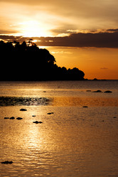 Similar image 1092482