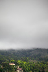 Similar image 1092514