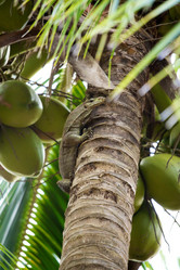 Similar image 1092523