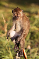 Similar image 1092529