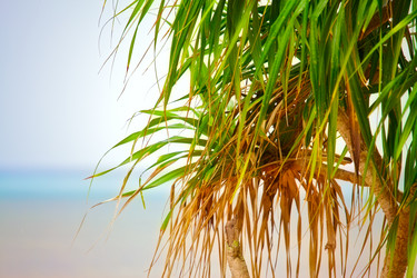 Similar image 1092537