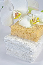 Similar image 1092565